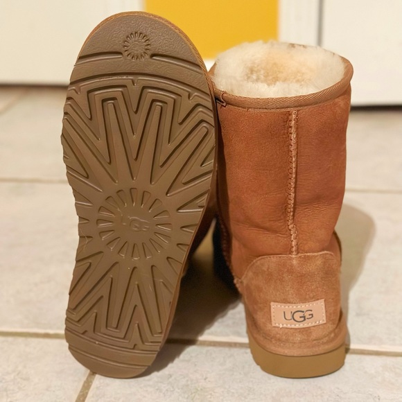 UGG Classic Short Boots - Chestnut - Picture 2 of 5